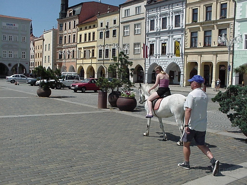 Erica Riding Horse In Ceske Budejovice 3.jpg